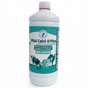 Vital Calci-D Plus