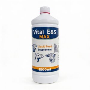 Vital E&S Max