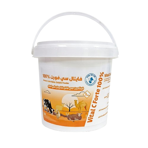 WhatsApp_Image_2026-04-28_at_3.13.13_PM__2_-removebg-preview